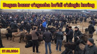 BOZORGA BARRA QO‘ZILAR HAM CHIQIBDI OXRIGACHA TOMOSHA QILING [upl. by Oad123]