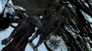 Skyrim Brain Rot is back [upl. by Durning158]