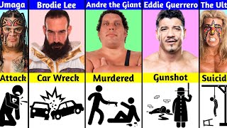 How WWE Superstars Died [upl. by Ahsotan817]