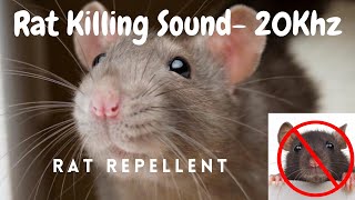 Anti Rat Repellent  Mouse Killer Sound  Very High Pitch Sound  20Khz  Kill Rats using mobile [upl. by Vikky472]