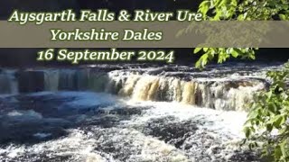 Aysgarth Falls amp River Ure Yorkshire Dales  16 September 2024 [upl. by Ordnasil]