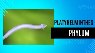 PHYLUM PLATYHELMINTHES  MALAYALAM [upl. by Kalk]