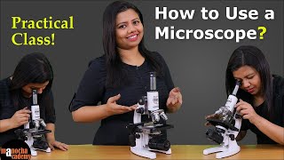 Microscope Parts and Functions  How to Use a Microscope [upl. by Kirschner]