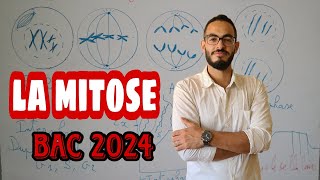 la mitose  la nature de linformation génétique bac 2024 ✌🧬🧫🔬 [upl. by Nosmirc]