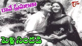 Pelli Sandadi Songs  Raave Naa Premalatha  ANR  Anjali Devi  OldSongsTelugu [upl. by Aikyt398]