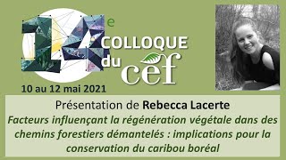 52  Rebecca Lacerte  Caribou forestier  Colloque du CEF 2021 [upl. by Crispen928]