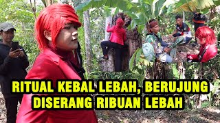 PANIK HAMPIR T3W4S ‼️ BONGKAR RITUAL KEBAL LEBAH PESULAP MERAH DISERANG RIBUAN LEBAH  ILMU MERAH [upl. by Dean487]