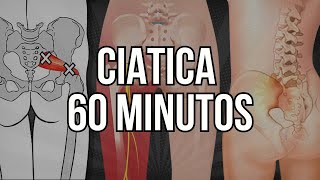 Rutina de EJERCICIOS para la CIATICA DURANTE 1 HORA fisioterapiatualcance [upl. by Yzzo526]