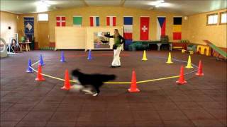 Demo  Longierzirkeltraining mit Hund  von Anja Jakob wwwclickntrickde und wwwanjajakobcom [upl. by Atteinotna]