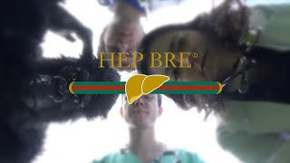 Medimeisterschaften Breslau 2024  Hep Bre [upl. by Davidde]