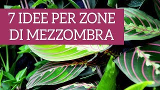 7 piante dappartamento perfette per zone di mezzombra [upl. by Tammi]