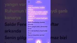 Canbay amp Wolker  Çubuklu şarkı sözleri fenerbahçe lyrics çubuklu şarkısözleri keşfet [upl. by Egduj]