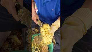 Super Easy Way To Cut Pineapple in Vietnam  Fruit Cutting Skills [upl. by Kieger714]