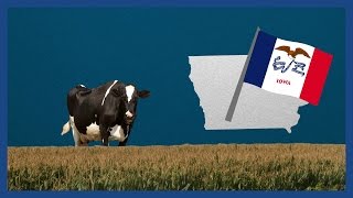 What are the Iowa caucuses  Guardian Animations [upl. by Sabanrab]