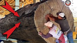 Sawing And Cutting Awesome Black Bone Wood  Hardwood At The Sawmill [upl. by Idnyc]