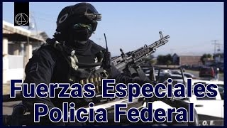 Las Fuerzas Especiales De La Policía Federal GEO [upl. by Hanforrd498]