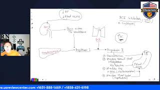 Renin Angiotensin Mechanism [upl. by Eiryt95]