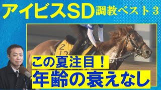 【意外な伏兵もランクイン！】チェイスザドリーム、ウイングレイテスト、モズメイメイ・・・ 競馬エイト・高橋賢司トラックマンの調教解説＜アイビスサマーダッシュＧⅢ＞ [upl. by Ayomat]