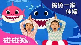 英文 鯊魚寶寶體操  鯊魚寶寶  BabyShark Dance  鯊魚舞 兒歌 babyshark l Kids Song  Nursery Rhymes  碰碰狐 Pinkfong [upl. by Shugart]