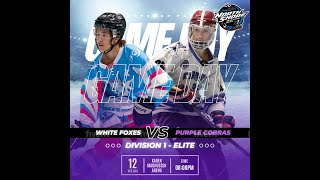 Div 1 Elite  Purple Cobras vs White Foxes [upl. by Salaidh562]