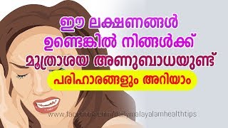 Urinary Infection Symptoms Diagnosis and Treatment  Daily Malayalam Health Tips [upl. by Shiau]