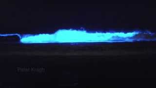 Bioluminescent waves in San Diego Red Tide amp Blue Waves [upl. by Eatnod]