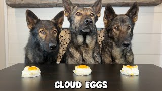 3 German Shepherds Review Foods [upl. by Layap]