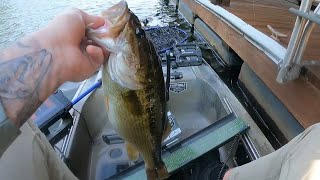 Lake Norman late summer Hager Creek [upl. by Arbed]