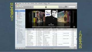 Getting to Know iTunes For Dummies [upl. by Amuwkuhc]