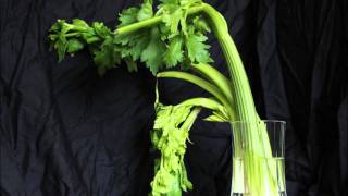 Extremely Dramatic Celery Time lapse HD [upl. by Akerley132]