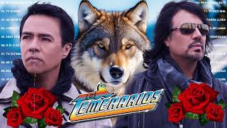 Los Temerarios Viejitas Románticas 💝 Románticas Del Ayer 💝 Mejores Canciones Inolvidables [upl. by Nairim]