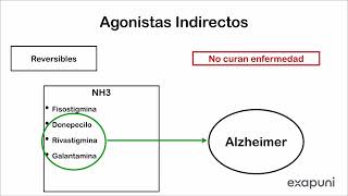 Farmacología  Agonistas Colinérgicos Indirectos [upl. by Madeline]