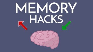 Most Effective Way to IMPROVE MEMORY amp Memorize ANYTHING [upl. by Dnaletak]