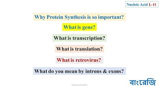 260 Gene Transcription Translation Retrovirous Introns amp Exons [upl. by Paten]