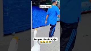 Minta Jajan funny lucu ngakak hiburan komedi kocak [upl. by Eilssel]