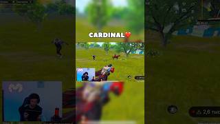 CARDINAL UCHUN QASOS❤️ OT🐎 OLIB KELDIM😈 pubgmobile flexpubgm cardinal cardinalpubg shorts [upl. by Sardse223]