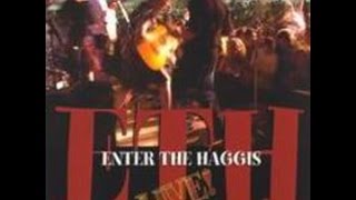 Enter the Haggis  Arcturus Live 2002 [upl. by Ennayllek]