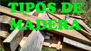 Tipos de madera [upl. by Bledsoe]