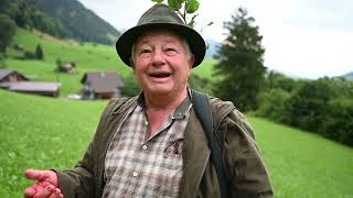 Vom Wald bis auf den Teller  auf der Jagd im Toggenburg [upl. by Adnirem]