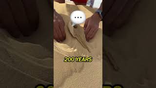 Man making shapes with sand 😱 [upl. by Eisseb833]