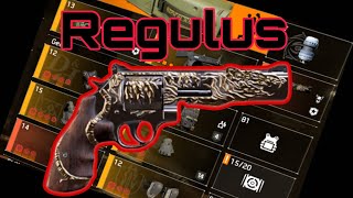 The Division 2 regulus build [upl. by Pattison]