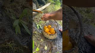 Egg Fruit Canistel shortvideo highlights fyp [upl. by Pammie]