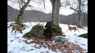 IL BOSCO DINVERNO neve orme e tane di animali [upl. by Aisyram]