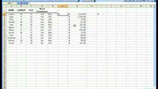 Microsoft Excel 06 Using quotIFquot in Formulas [upl. by Diahann]