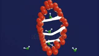 Western blot [upl. by Nwahc639]