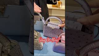 How Much Are The New Louis Vuitton Exotic Mini Capucines shorts luxurybags fallwinter2023 [upl. by Aivul965]