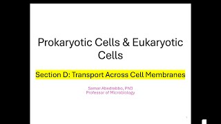 Cells Section D Transport across cell membranes [upl. by Wesle]