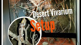 Desert vivarium setup  SPINYTAILED GECKO [upl. by Lecroy]