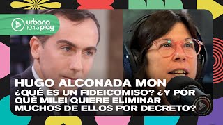 ¿Qué es un fideicomiso ¿Y por qué Milei quiere eliminar muchos de ellos por decreto DeAcáEnMás [upl. by Ardel204]