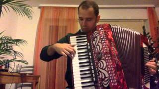 Waves of the Danube  Accordion [upl. by Rosemonde508]